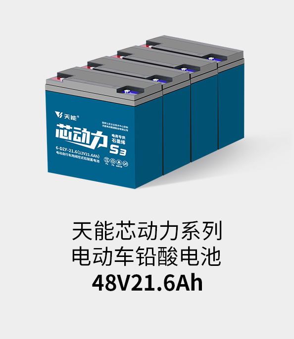 尊龙ag旗舰厅电池48v20ah