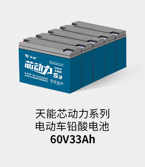 尊龙ag旗舰厅电池60v33ah