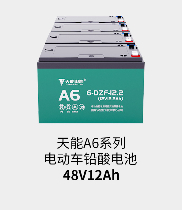 尊龙ag旗舰厅电池48v12ah