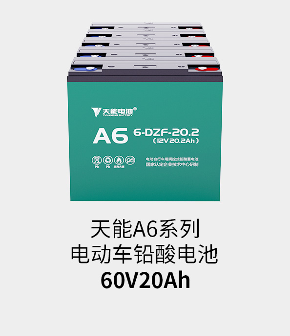 尊龙ag旗舰厅电池60v20ah