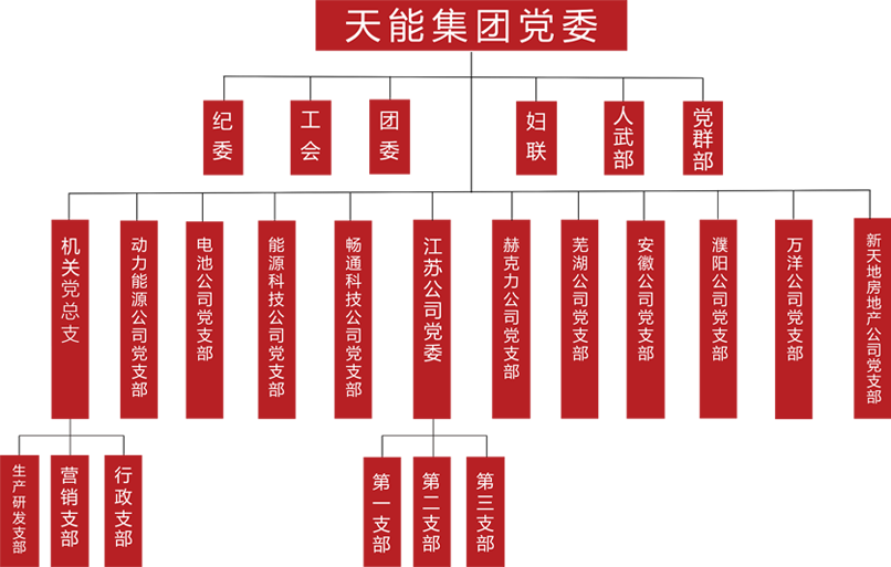 尊龙ag旗舰厅建团党委组织架构